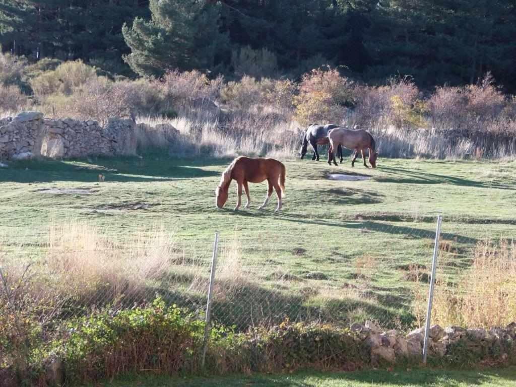 Casa Iona Chalet Adosado Con Vistas A La Montana Navarredonda Esterno foto